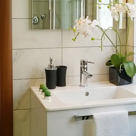 The Pope At The Window *