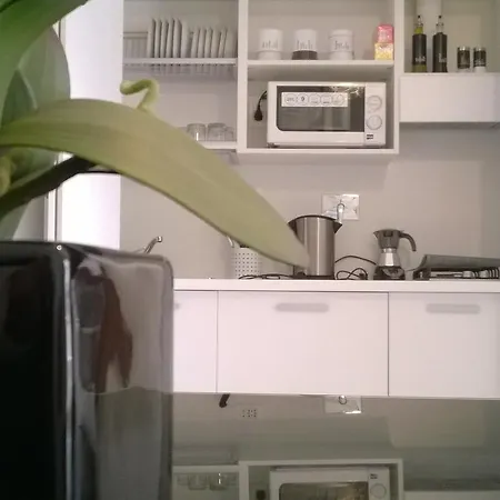 The Pope At The Window Roma