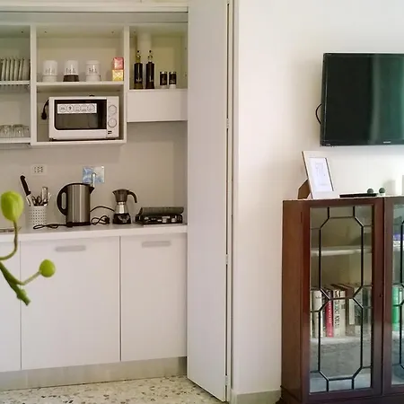 The Pope At The Window