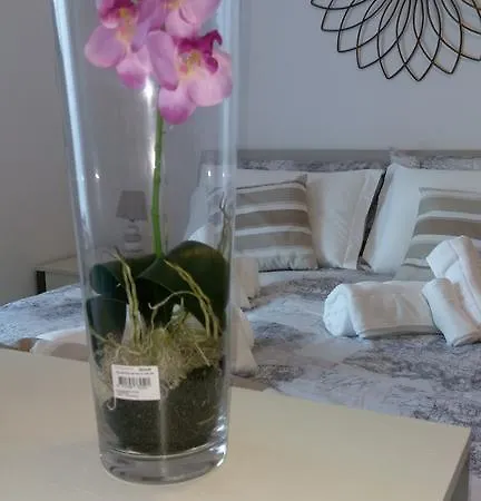 The Pope At The Window Tatil Evi *